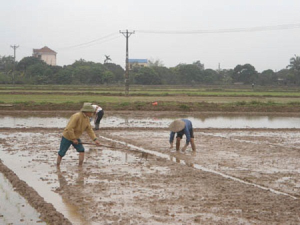 làm đất