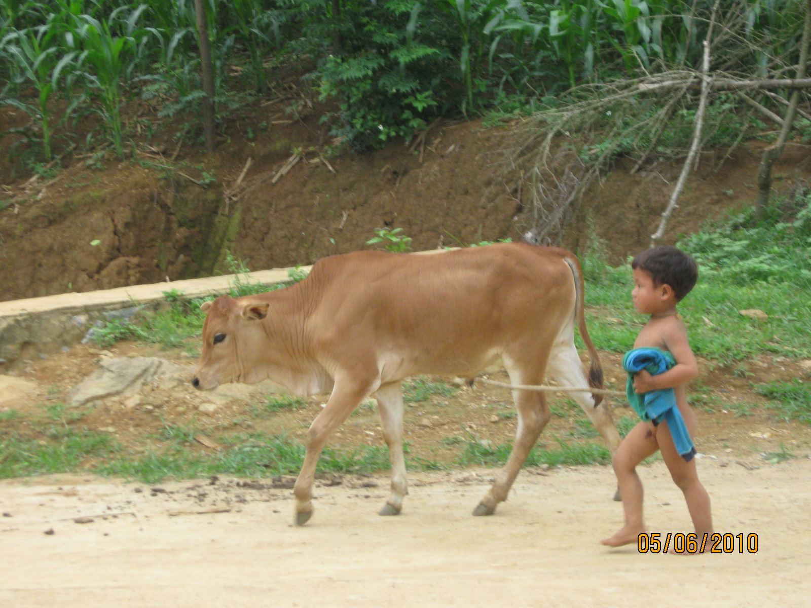 Trẻ em miền núi
