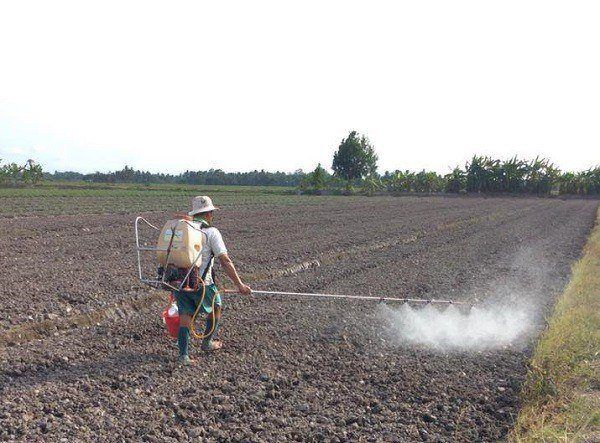 Phun EMINA khi làm đất Phun EMINA khi làm đất