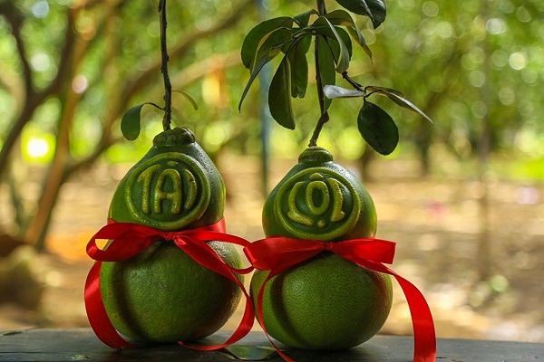 bưởi hình hồ lô bưởi hình hồ lô