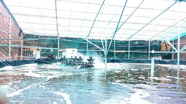 mô hình nuôi tôm ứng dụng công nghệ cao