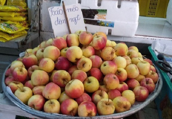 táo mèo trung quốc tràn ngập thị trường việt