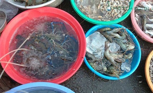 cách chọn tôm sạch