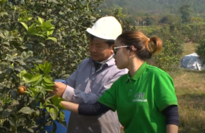 Kỹ sư EMI hướng dẫn bà con cách canh tác nông nghiệp sạch bằng sử dụng chế phẩm sinh học EMINA