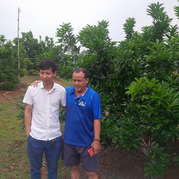 chế phẩm sinh học emina cho bưởi