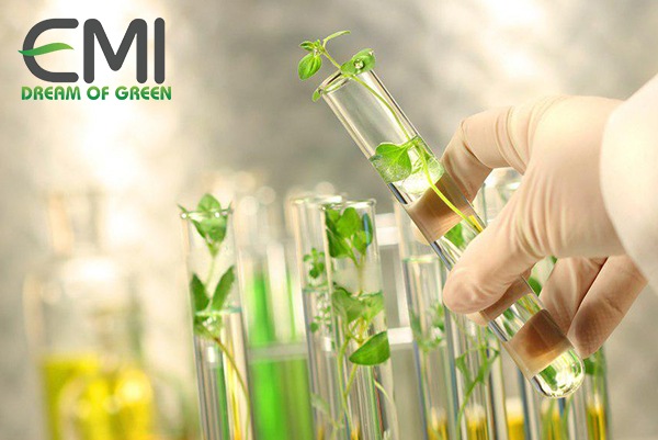 Cây trồng công nghệ sinh học