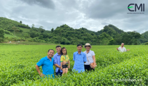 Chè chăm sóc bằng EMINA-P