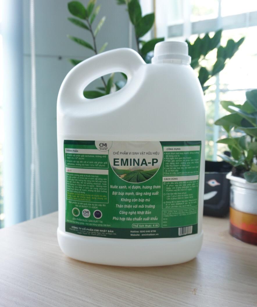 Chế phẩm vi sinh vật hữu hiệu Emina-P dành cho cây chè