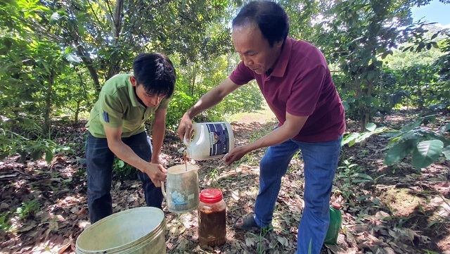 Ông Phú ủ cá bằng chế phẩm sinh học Emina-P