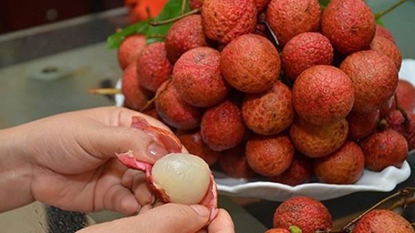 công dụng của quả vải