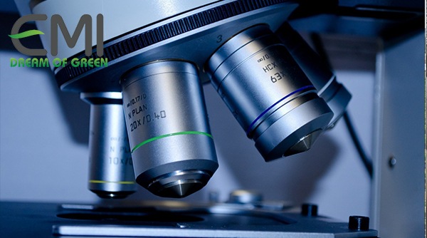 Công nghẹ sinh học là điều tối quan trọng Công nghẹ sinh học là điều tối quan trọng