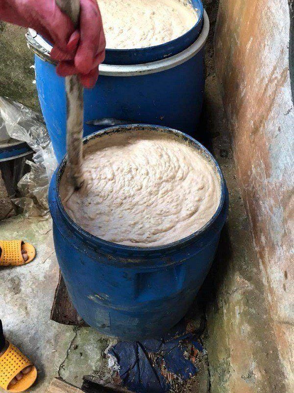 Đạm cá chú Phú ủ bằng chế phẩm sinh học EMINA để đổ gốc cà phê Đạm cá chú Phú ủ bằng chế phẩm sinh học EMINA để đổ gốc cà phê