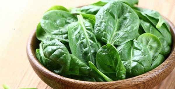 lá mồng tơi lá mồng tơi