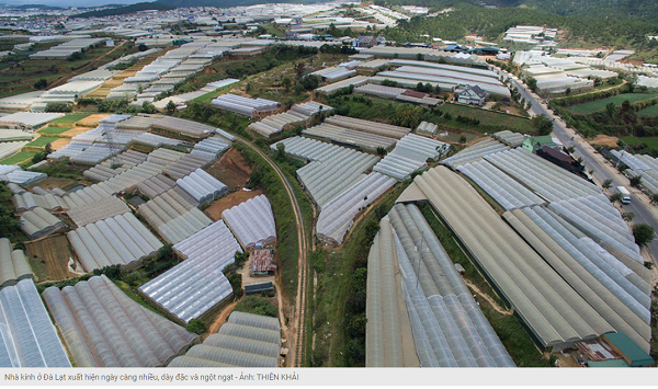 nha20kinh20dang20bao20vay20lam20da20lat20nong20va20o20nhiem20hon-2