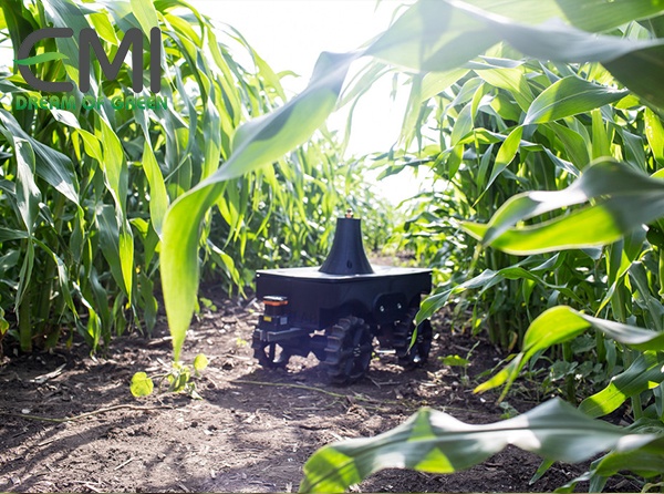 Sử dụng robot để quan sát