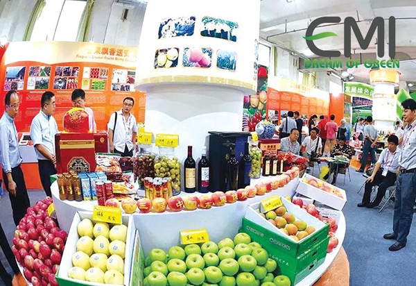 Nông sản sạch trong siêu thị Nông sản sạch trong siêu thị