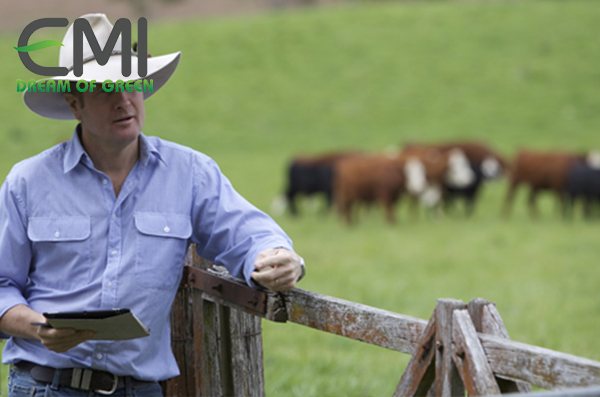 Nông dân Úc là nông nghiệp theo quy trình