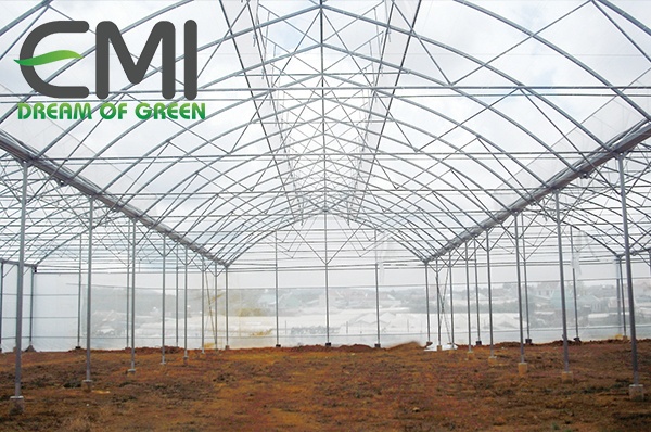 Nông nghiệp nhà kính ở Israel