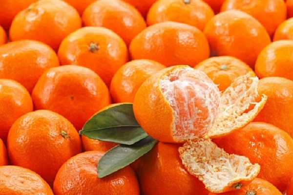 so sánh quýt trung quốc và quýt việt nam