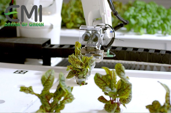 Robot quan lý trang trại