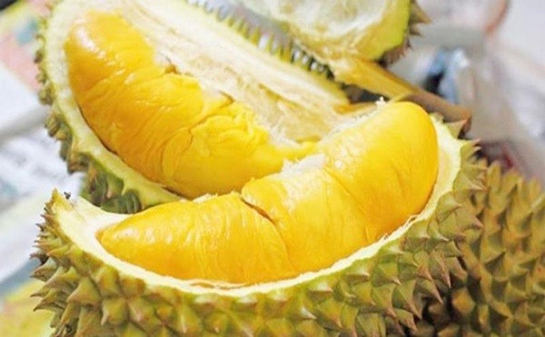 sầu riêng sầu riêng