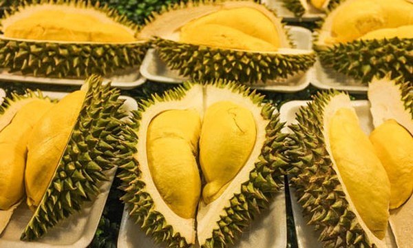 công dụng của sầu riêng