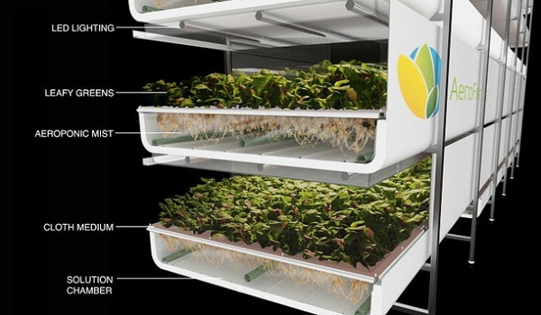 mô hình trồng rau sử dụng công nghệ 4.0 mô hình trồng rau sử dụng công nghệ 4.0