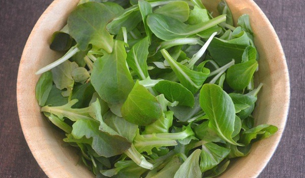 mô hình trồng rau ứng dụng công nghệ cao mô hình trồng rau ứng dụng công nghệ cao