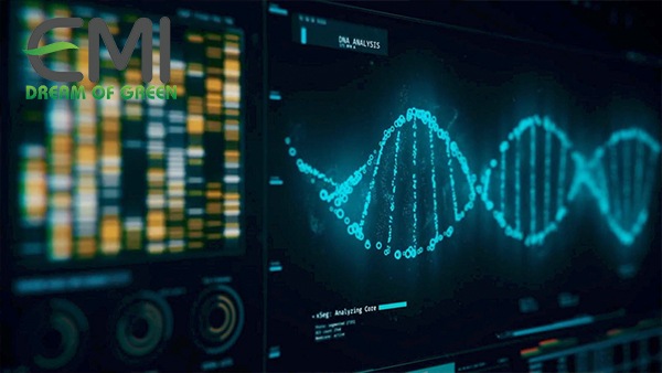 Nghiên cứu giống cây mới của Trung Quốc