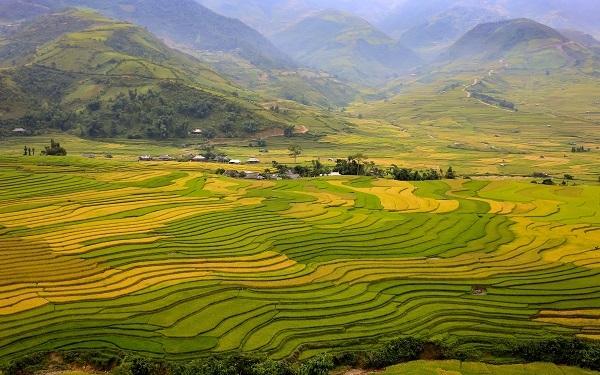 Thung lũng Tú Lệ những ngày vào mùa