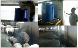 Ứng dụng công nghệ vi sinh xử lý mùi hôi chuồng trại