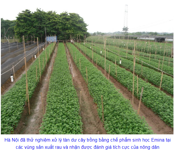 Ứng dụng chế phẩm sinh học EMINA