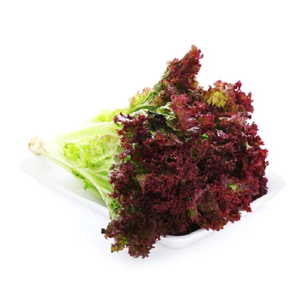 xà lách lô lô tím xà lách lô lô tím