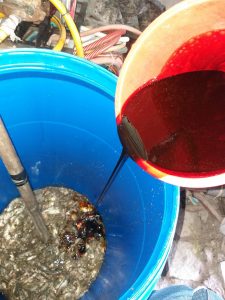 Kỹ thuật ủ phân cá