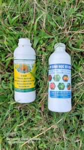 Chế phẩm vi sinh cho cây lúa