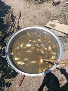 Ủ phân cá tại nhà