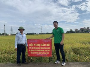 Hội nghị đầu bờ đánh giá hiệu quả chế phẩm sinh học trên lúa