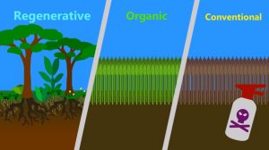 Nông nghiệp tái sinh