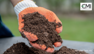 Hàm lượng chất hữu cơ trong đất càng cao thì đất càng giàu dinh dưỡng