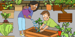 Nông nghiệp trên đỉnh: Nông nghiệp trên sân thượng cho những thành phố trong lành