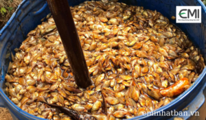 Cách ủ cá làm phân bón từ cá tươi