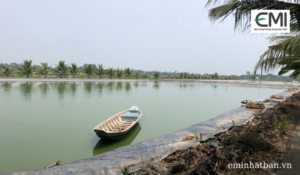 Ứng dụng công nghệ vi sinh vật trong thuỷ sản sẽ đem lại hiệu quả cao hơn