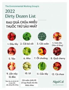 Top 12 loại rau củ quả bẩn hiện nay