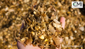 Thành phẩm ủ chua làm thức ăn cho bò thành công